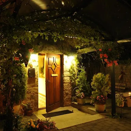 לינה וארוחת בוקר Iskra זקופאנה